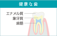 健康な歯